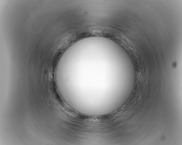 X0000094380702200711020825