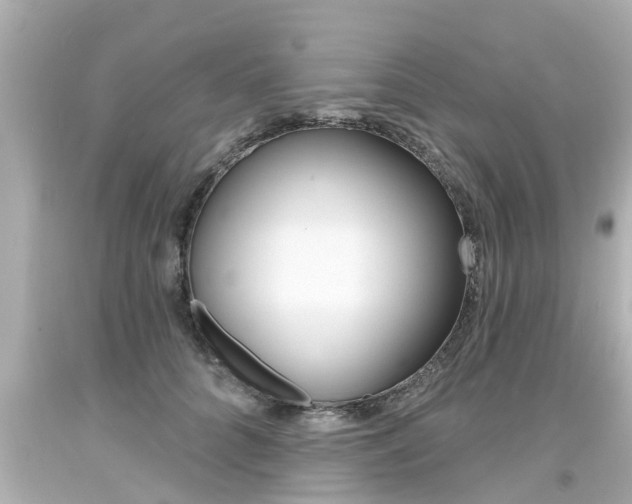 X0000094380704200711020825