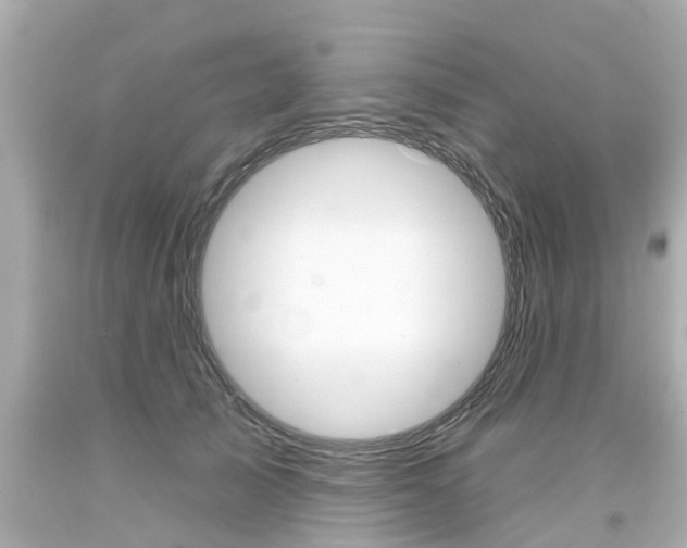 X0000094380705200711020825