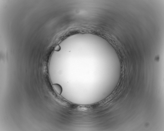 X0000094380706200711020825