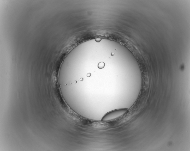 X0000094380707200711020825
