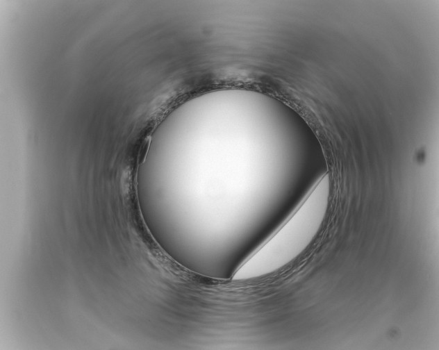 X0000094380708200711020825
