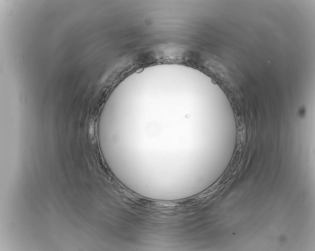 X0000094380709200711020825
