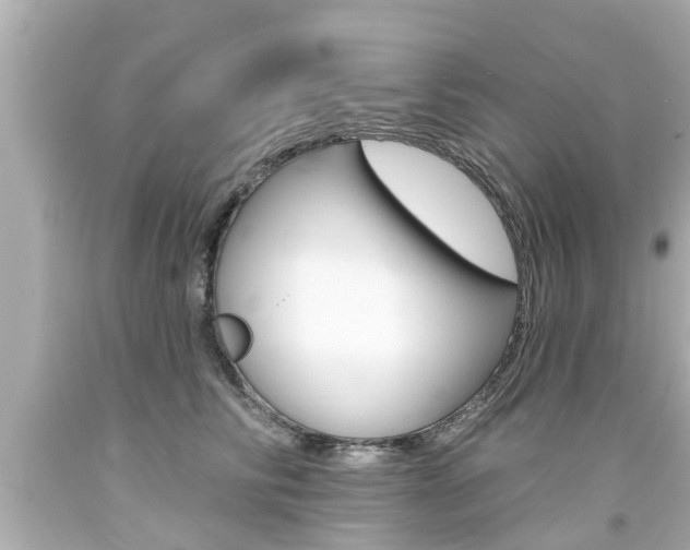 X0000094380710200711020825