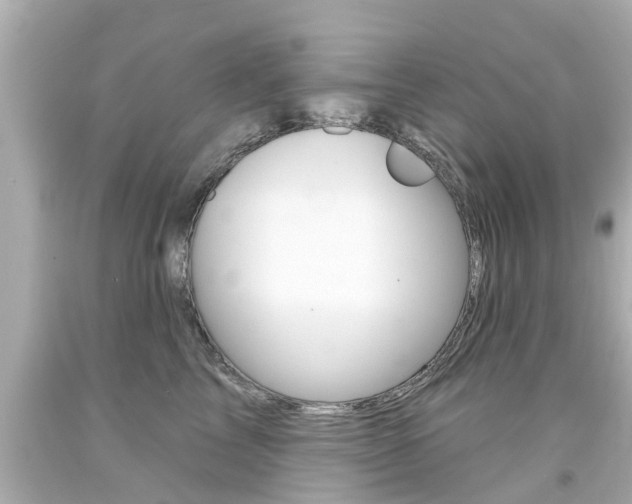X0000094380713200711020825