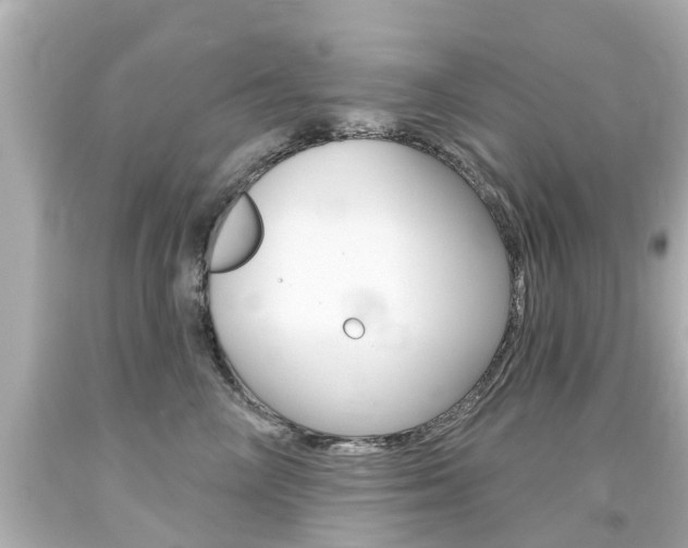 X0000094380714200711020825