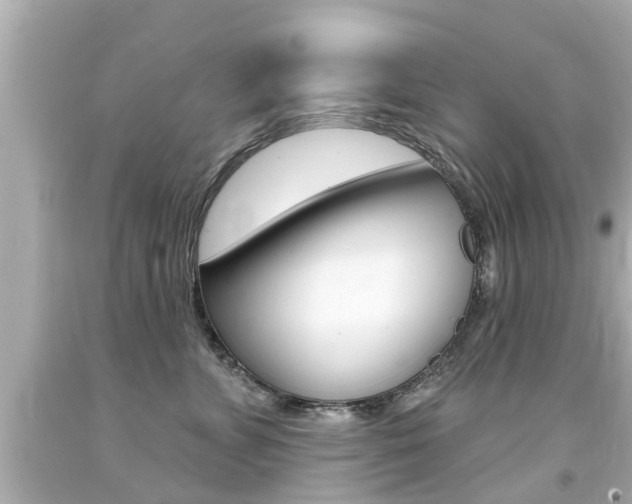 X0000094380715200711020825