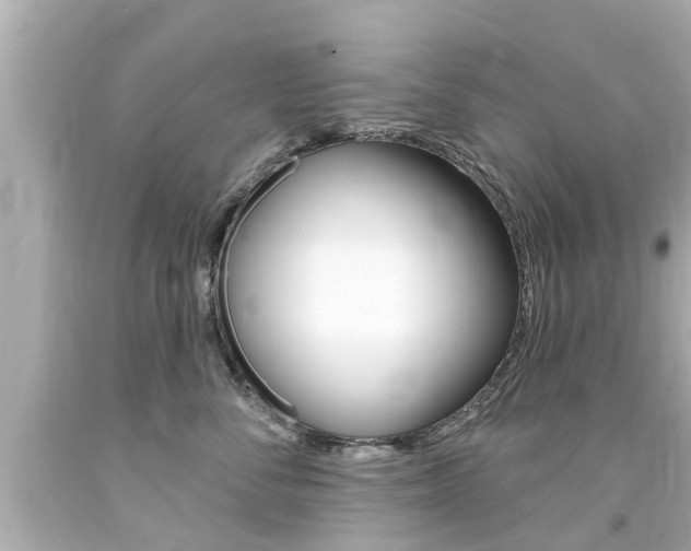 X0000094380716200711020825