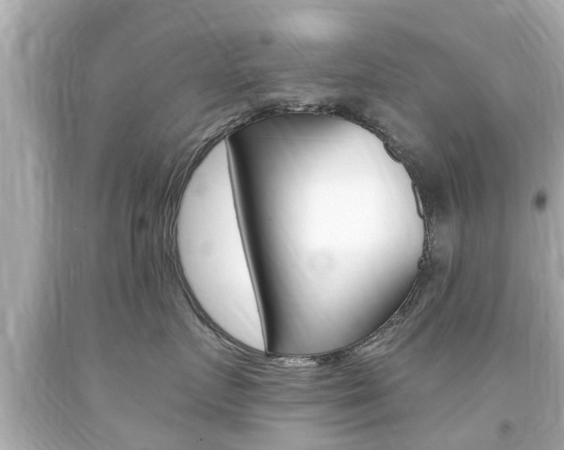 X0000094380719200711020825