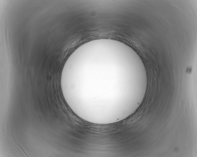 X0000094380720200711020825