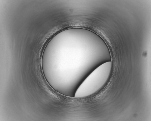 X0000094380721200711020824