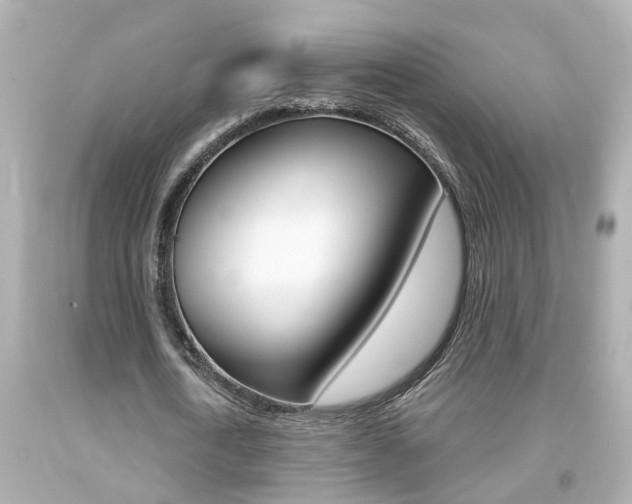X0000094380722200711020824
