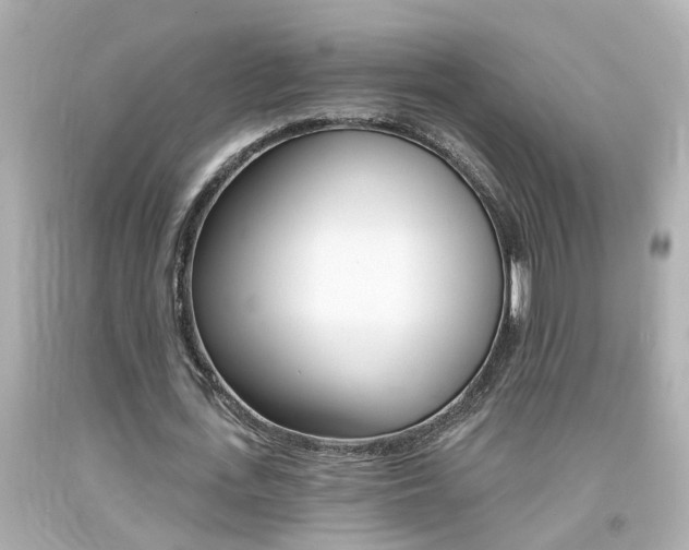 X0000094380723200711020824