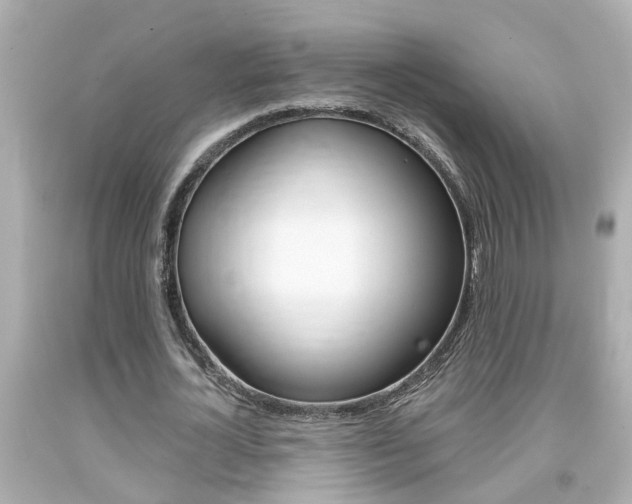 X0000094380724200711020824