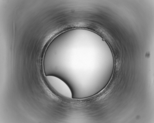 X0000094380725200711020824