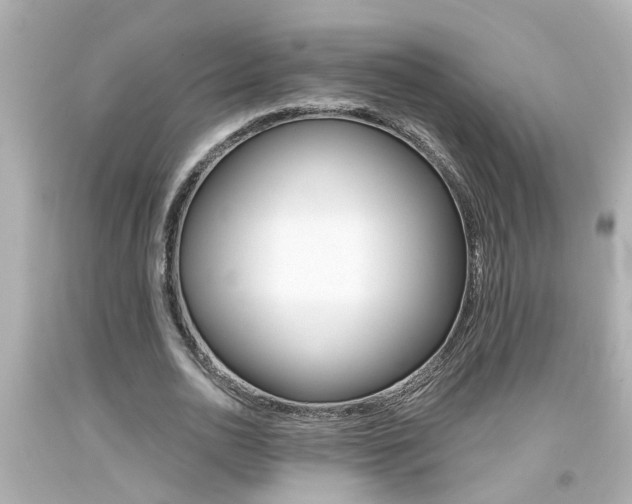 X0000094380726200711020824