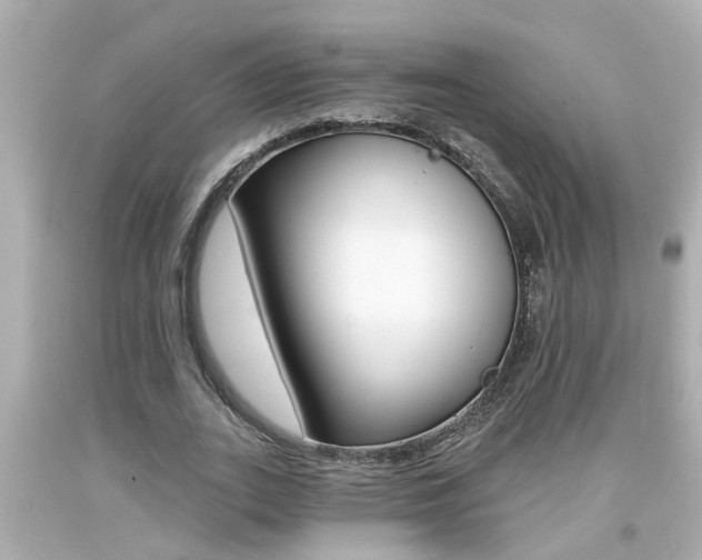 X0000094380727200711020824