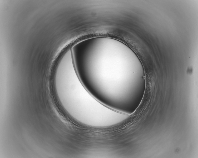 X0000094380728200711020824