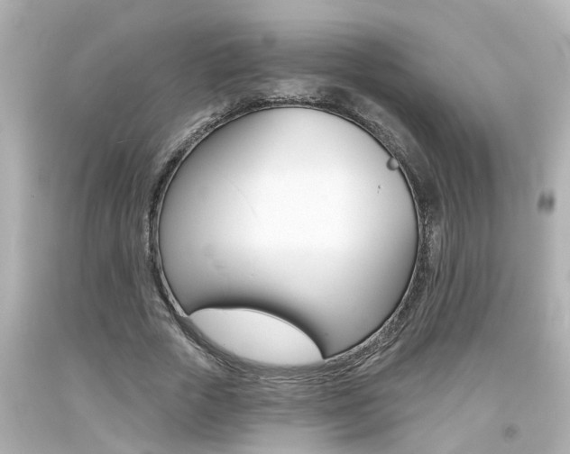 X0000094380729200711020824