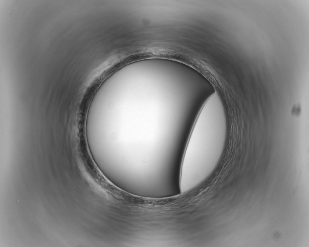 X0000094380730200711020825