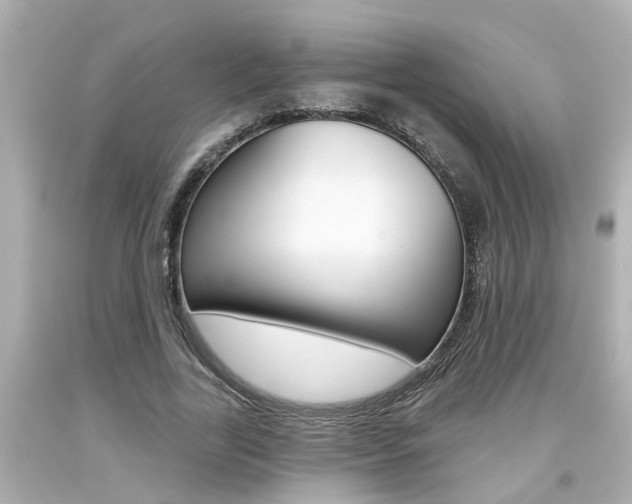 X0000094380731200711020825