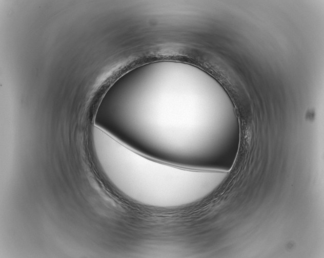 X0000094380732200711020825