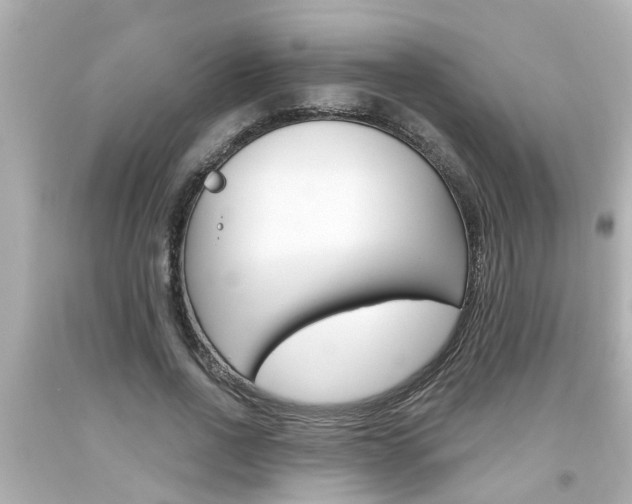 X0000094380734200711020825