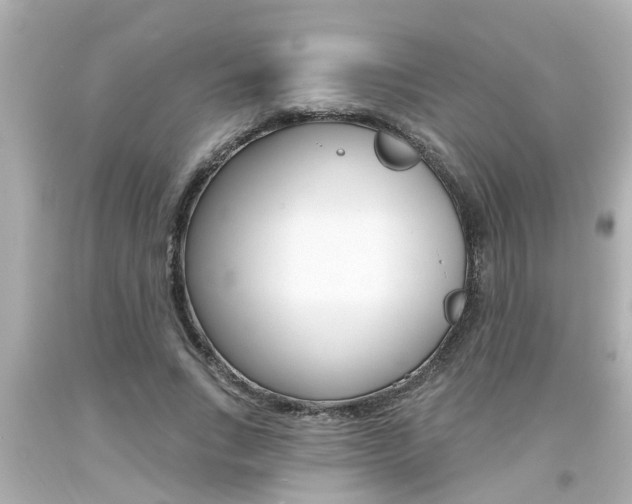 X0000094380735200711020825