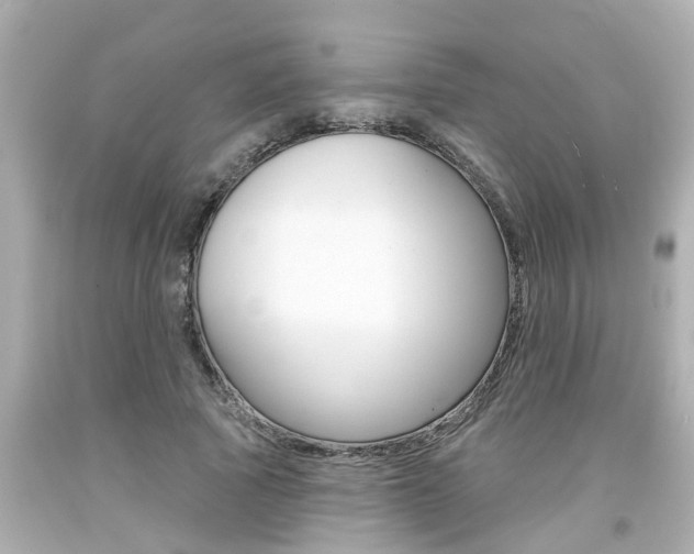X0000094380737200711020825