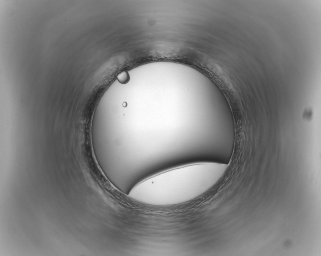 X0000094380738200711020825