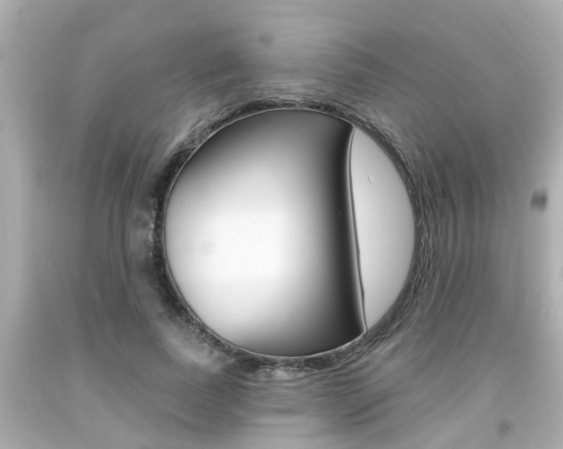 X0000094380739200711020825