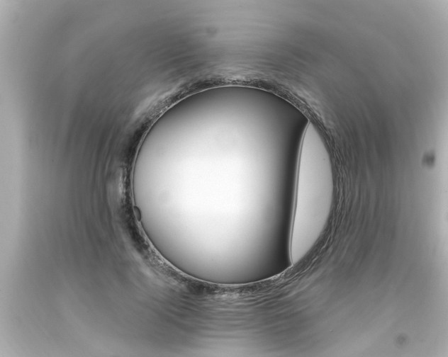 X0000094380740200711020825