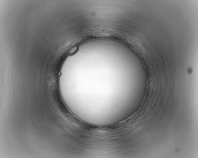 X0000094380743200711020825