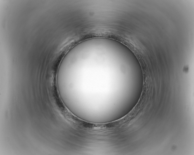 X0000094380744200711020825