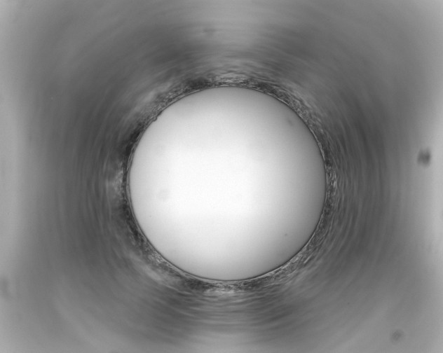 X0000094380745200711020825