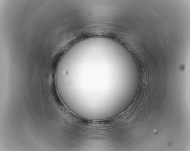 X0000094380746200711020825