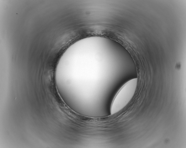 X0000094380747200711020825