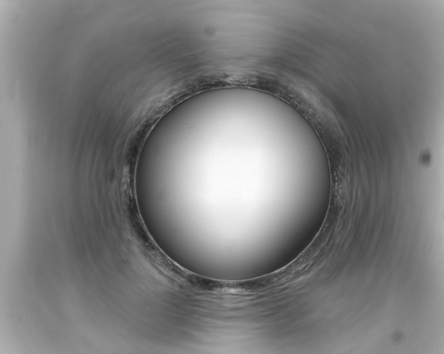 X0000094380748200711020825