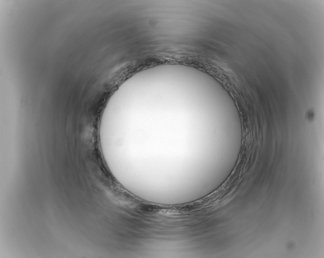 X0000094380749200711020825