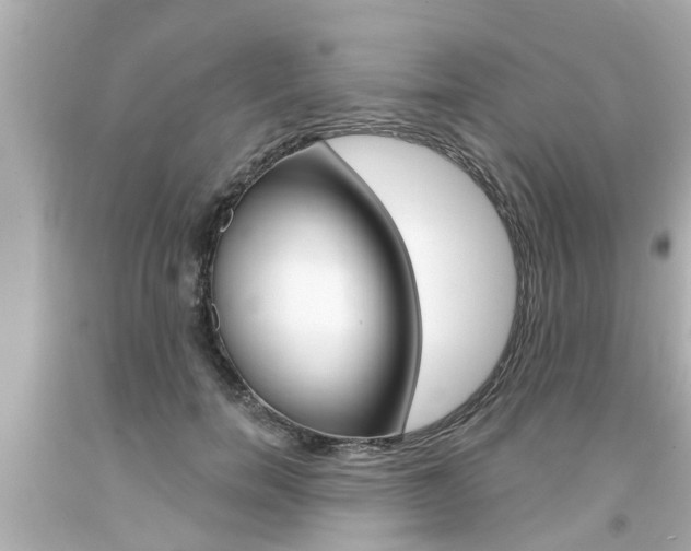 X0000094380750200711020825