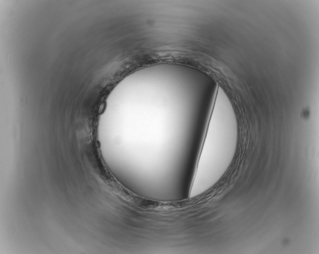 X0000094380751200711020825