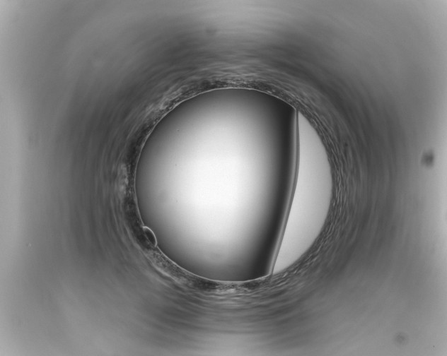 X0000094380752200711020825