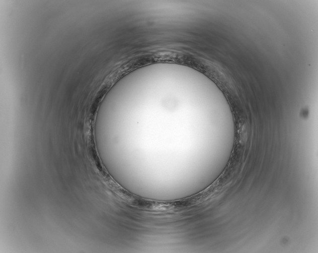 X0000094380753200711020825