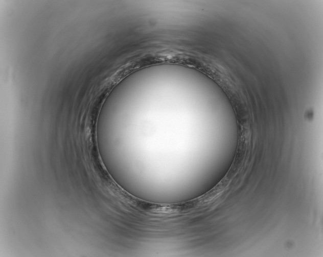 X0000094380754200711020825