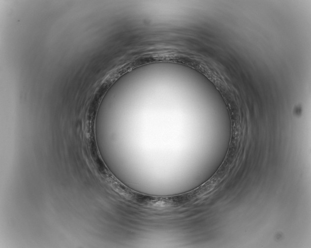 X0000094380755200711020825