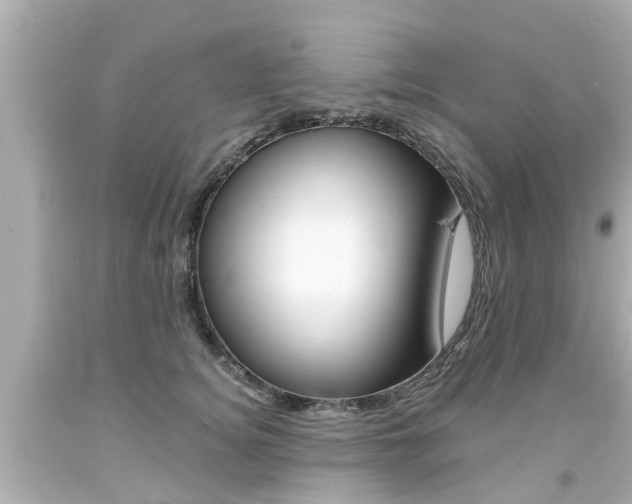X0000094380756200711020825