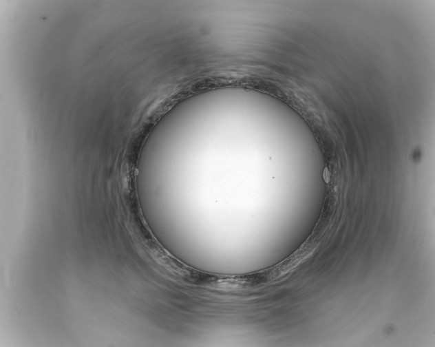 X0000094380758200711020825