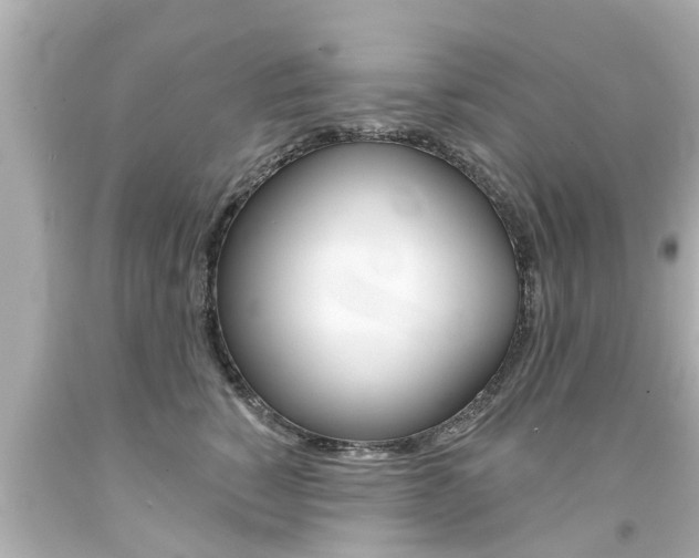 X0000094380760200711020825