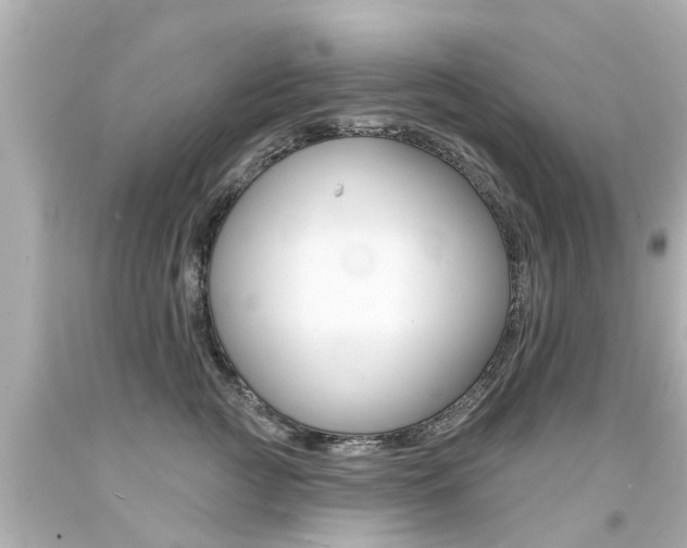 X0000094380761200711020825