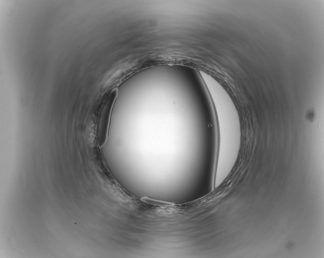 X0000094380762200711020825